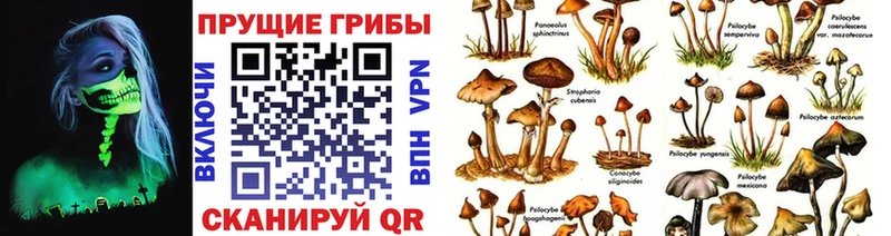Купить  Туапсе  Галлюциногенные грибы Magic Shrooms 